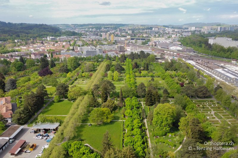 Bremgartenfriedhof