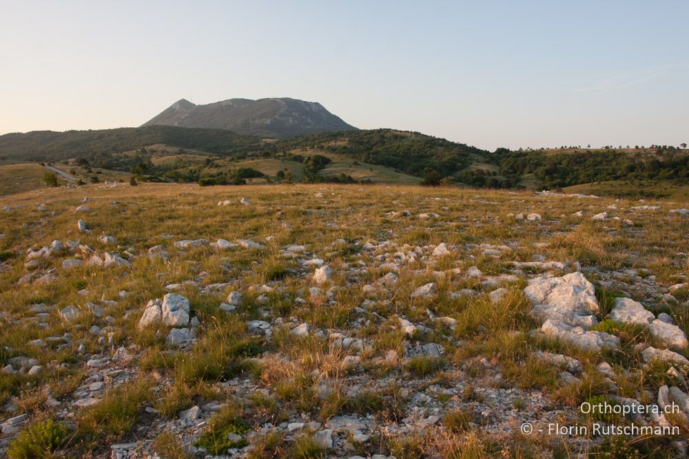 Učka-Gebirge im Abendlicht - HR, Istrien, Učka-Gebirge, 11.06.2014