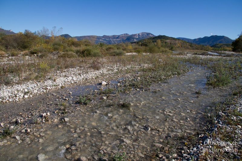 Langsam fliessender Nebenarm mit kleinen Kiesinseln - FR, Drôme, Recoubeau, 26.10.2011