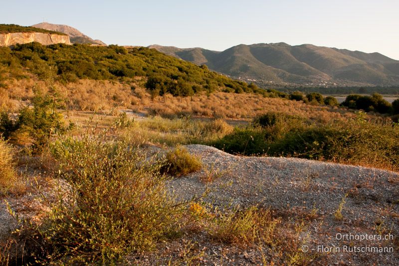 Trockenes Weideland mit Stauden und Gehölzen am Rand eines Steinbruchs - GR, Epirus, Ampelia, 11.07.2011