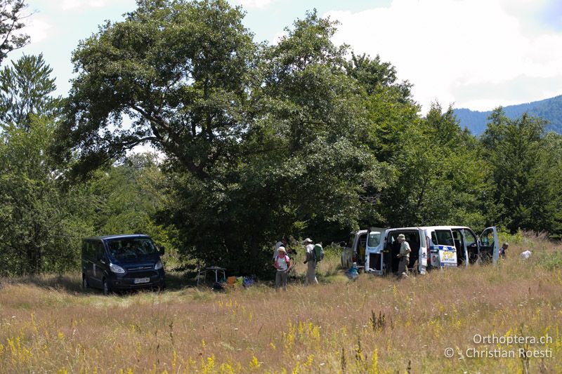 Nach dem Mittagessen - BG, Blagoevgrad, Waldlichtung vor Raslog bei Bansko, 14.07.2018