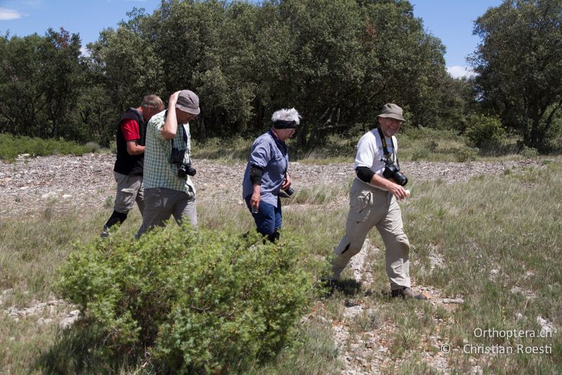 Was führen die wohl im Schild? - FR, Plateau d'Aumelas, 11.07.2104