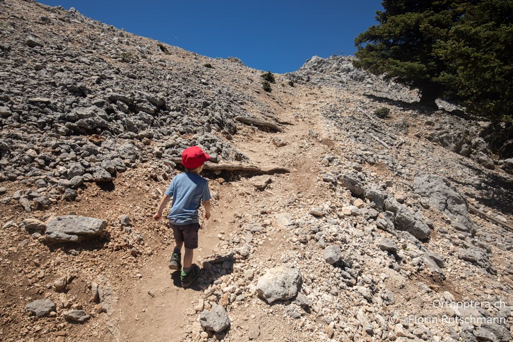 Wandern auf den Mt. Enos - GR, Ionische Inseln, Kefalonia, 15.06.2024