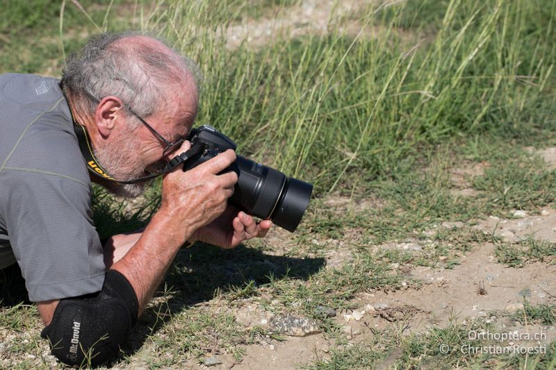 Daniel fotografiert eine Bucephaloptera bucephala - BG, Blagoewgrad, Ploski, 14.07.2018