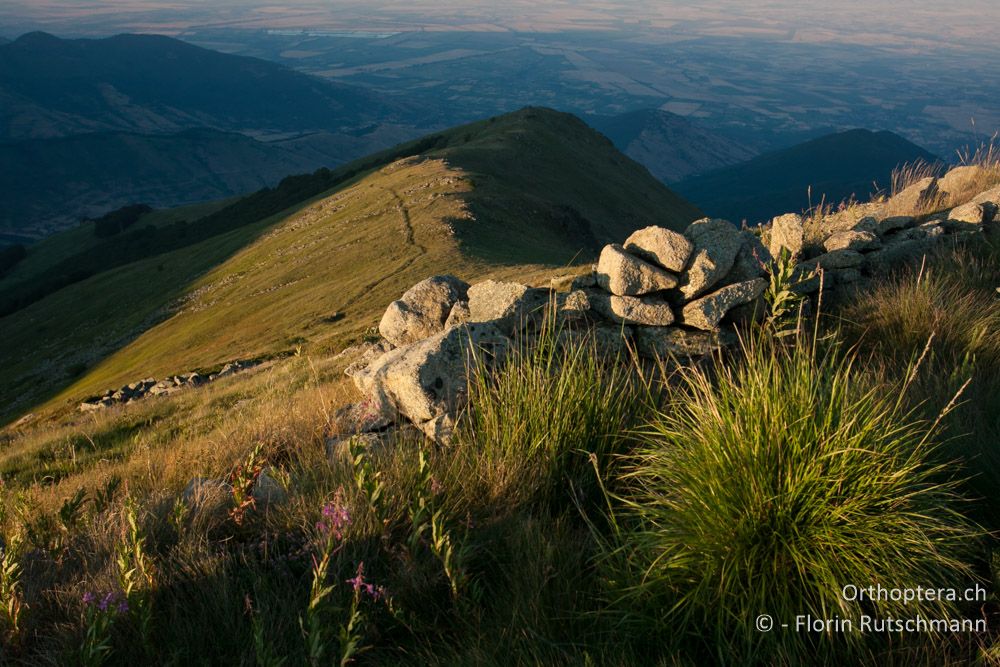 An der Grenze zu Mazedonien (F.Y.R.O.M) - Mt. Varnous, 20.07.2012