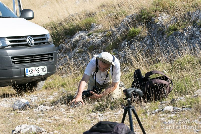 Einige kamen oft nicht weit - HR, Istrien, Mala Učka, 21.07.2015