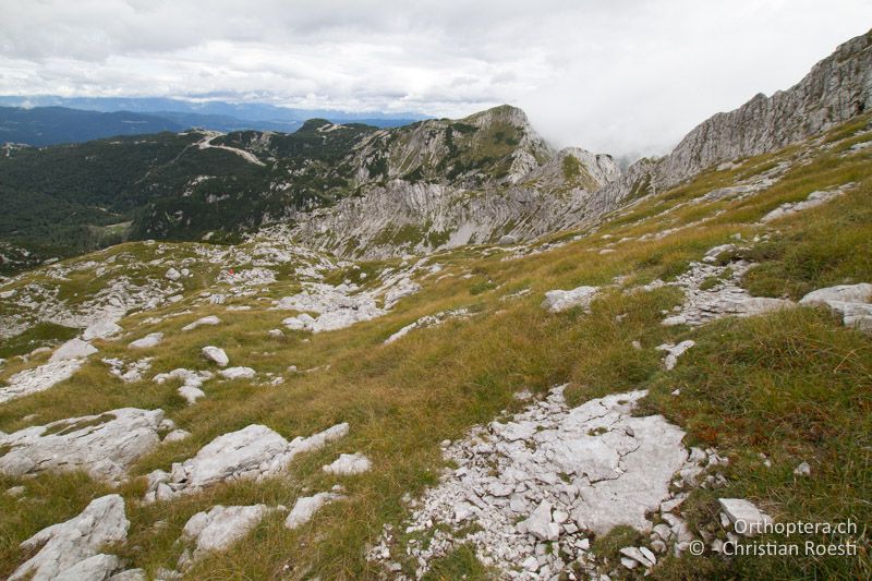 Karstiger Nordhang - SLO, Gorenjska, Mt. Vogel, 19.09.2016