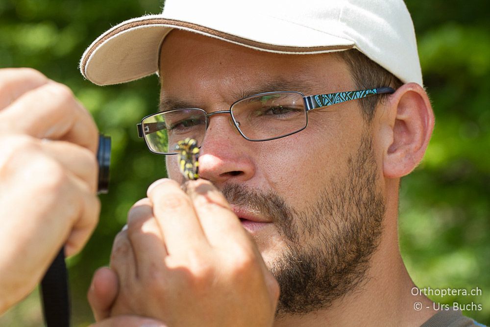 Chrigel mit Cordulegaster bidentata - GR, Westmakedonien, Mt. Vernon, 10.07.2013