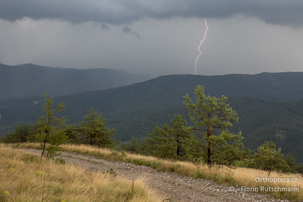 Gewitter mit Blitz und Donner - HR, Istrien, Brest, 25.07.2015