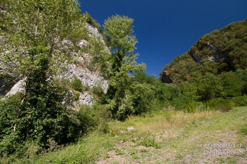 Verlassener Steinbruch - CH, TI, Castel-San-Pietro, 03.09.2013