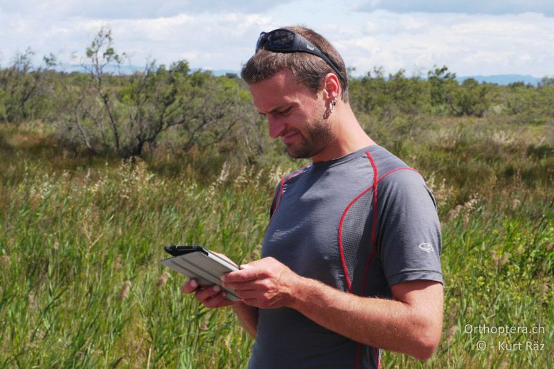 Florin erfasst stets alle unsere Beobachtungen - FR, Camargue, 09.07.2014