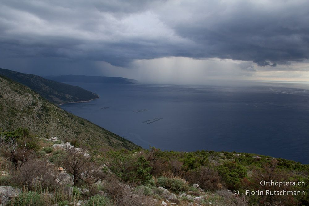 In der Abenddämmerung nähert sich die nächste Regenfront - HR, Cres, Beli, 30.07.2014