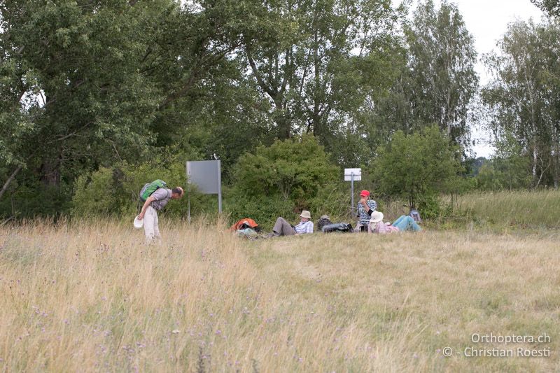 Die Anreise hat Kraft gekostet - AT, Niederösterreich, Ebergassing, 08.07.2018