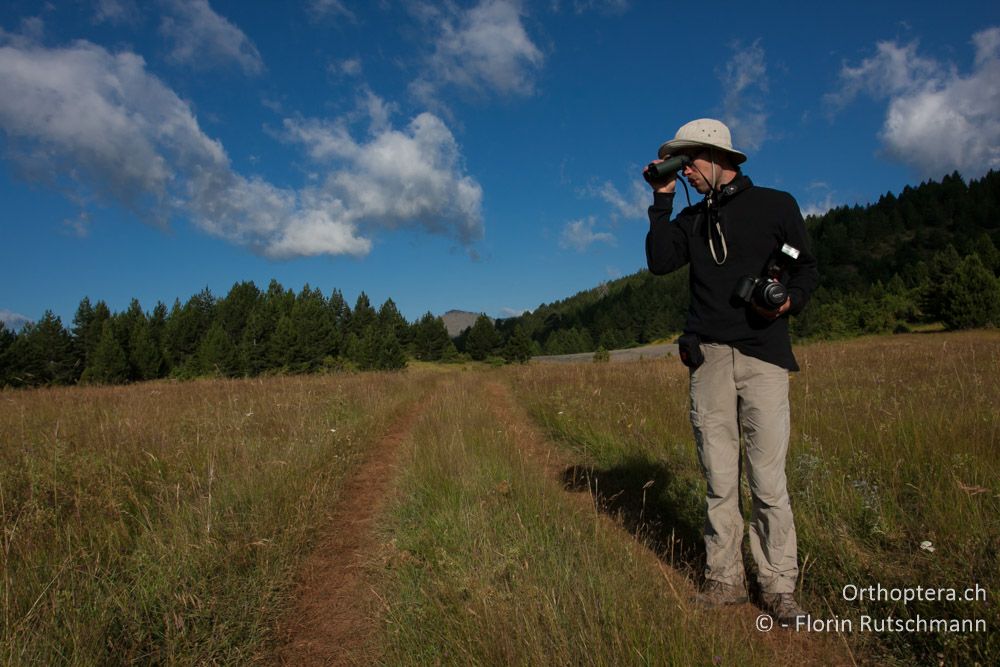 Blick ins Gras! - Westlich von Smixi, 21.07.2011