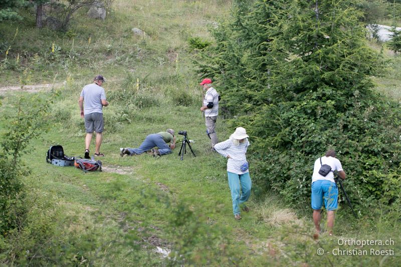 Die Gruppe in Action - BG, Pasardschik, Streltscha, 10.07.2018