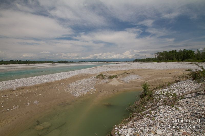 Tagliamento - IT, Friaul-Julisch Venetien, Codroipo, 28.05.2014