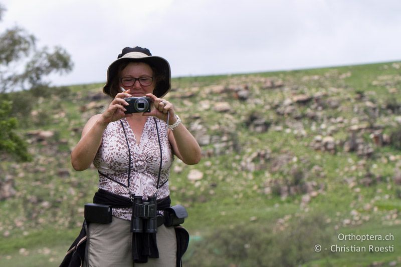 Franziska - SA, Mpumalanga, Dullstroom, Field & Stream Lodge, 13.01.2015