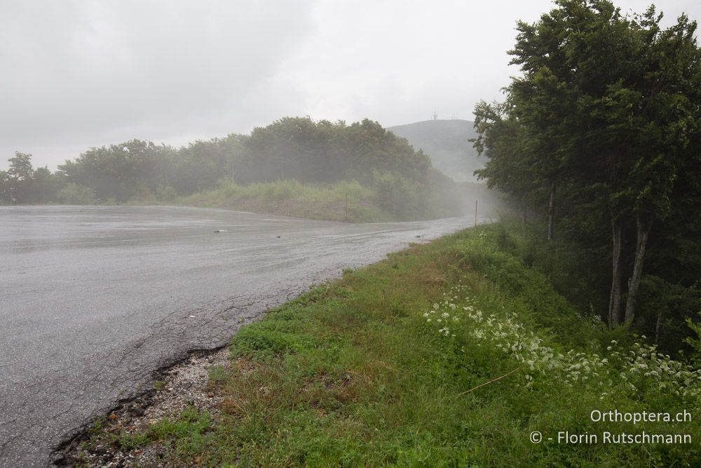 Heftige Niederschläge und Gewitter - GR, Thessalien, Pelion, 18.06.2015