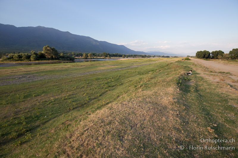 Landschaft in der Abendsonne - GR, Zentralmakedonien, Kerkini, 08.07.2017