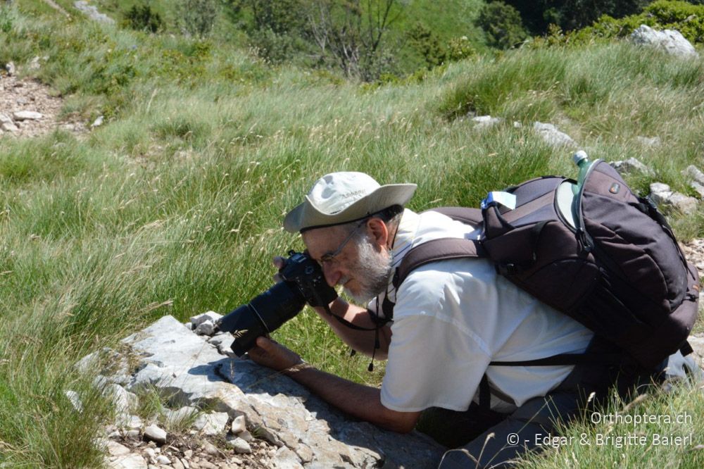 Stefan, ja, was fotografierst du denn? - HR, Istrien, Mala Učka, 22.06.2016