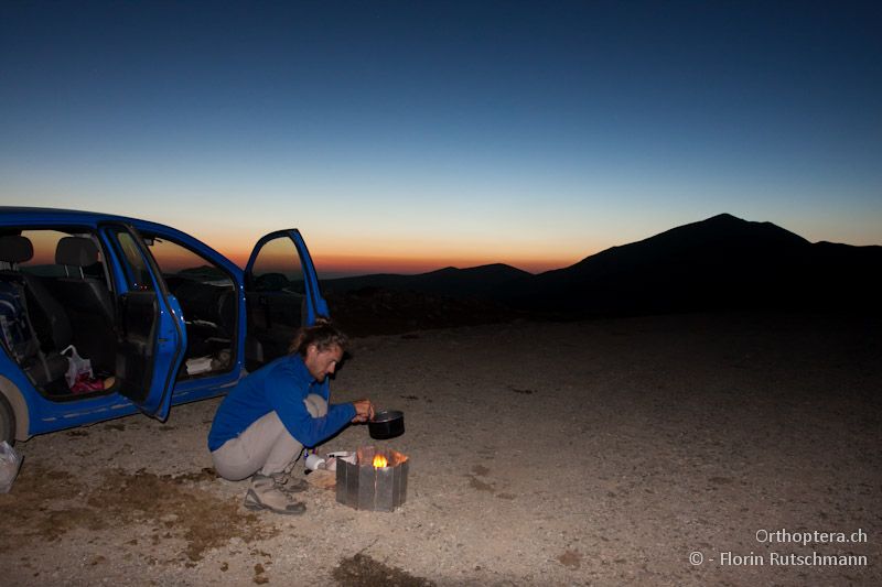 Die Heuschreckensuche macht hungrig! - Mt. Varnous, 20.07.2012