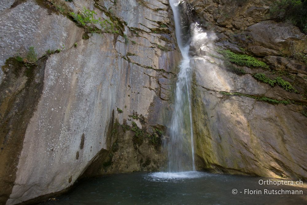 Wasserfall - GR, Mittelgriechenland, Mt. Iti, 14.06.2015