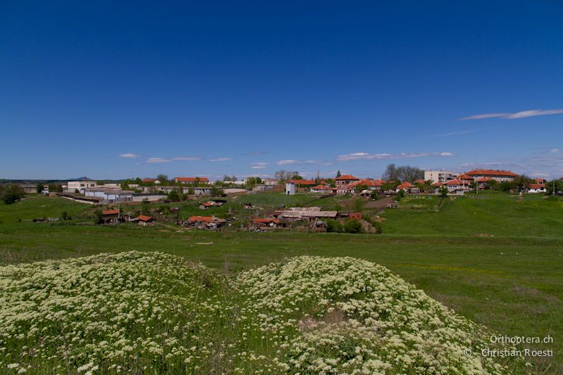 Dorf in der Umgebung von Topolovgrad