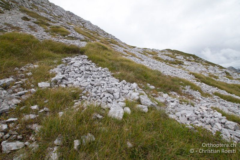 Karstiger Nordhang - SLO, Gorenjska, Mt. Vogel, 19.09.2016