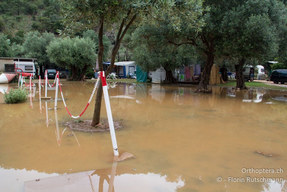 Doch auch auf Cres fallen Nachts sintflutartige Regenschauer - HR, Cres, Beli, 30.07.2014