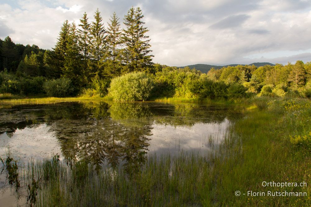 Bergsee im Abendlicht - HR, Istrien, Račja Vas, 01.08.2014