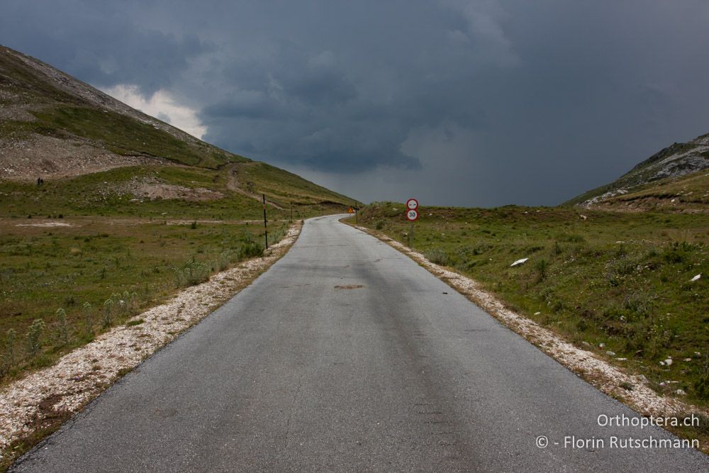 Nach dem Gewitter - GR, Ostmakedonien, Mt. Pangeon, 06.07.2013