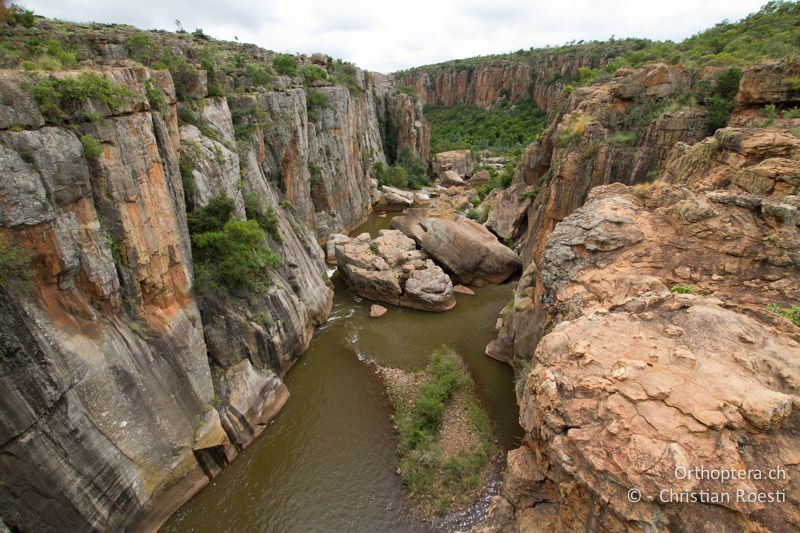 Bourke's Luck Potholes - SA, Mpumalanga, Matibidi, Seitenbach vom Blyde River, 10.01.2015