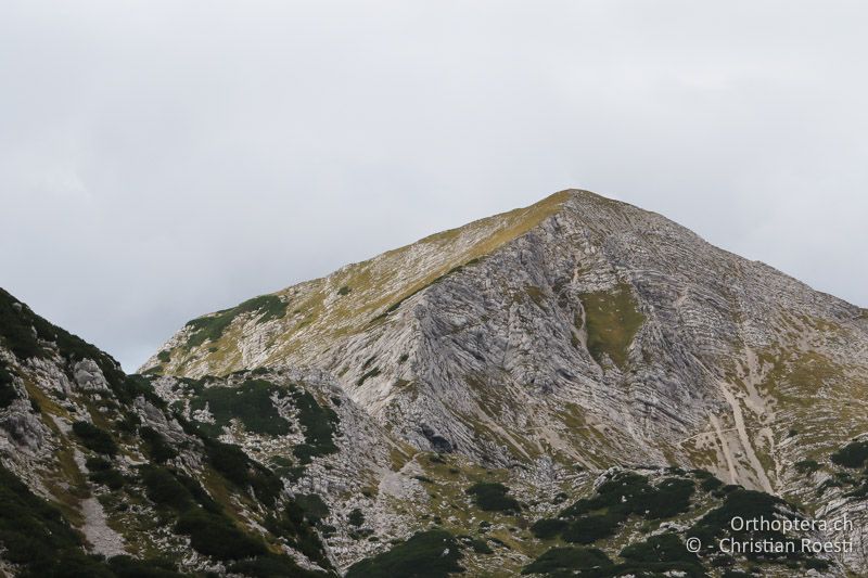 Beim Mt. Vogel - SLO, Gorenjska, Mt. Vogel, 19.09.2016