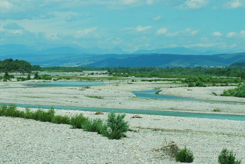 Prächtige Flusslandschaft an der Durance - FR, bei Manosque, 05.07.2014