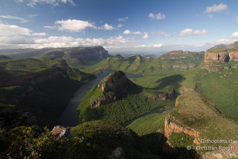 Canyon - SA, Mpumalanga, Matibidi, Blyde River Canyon, 10.01.2015