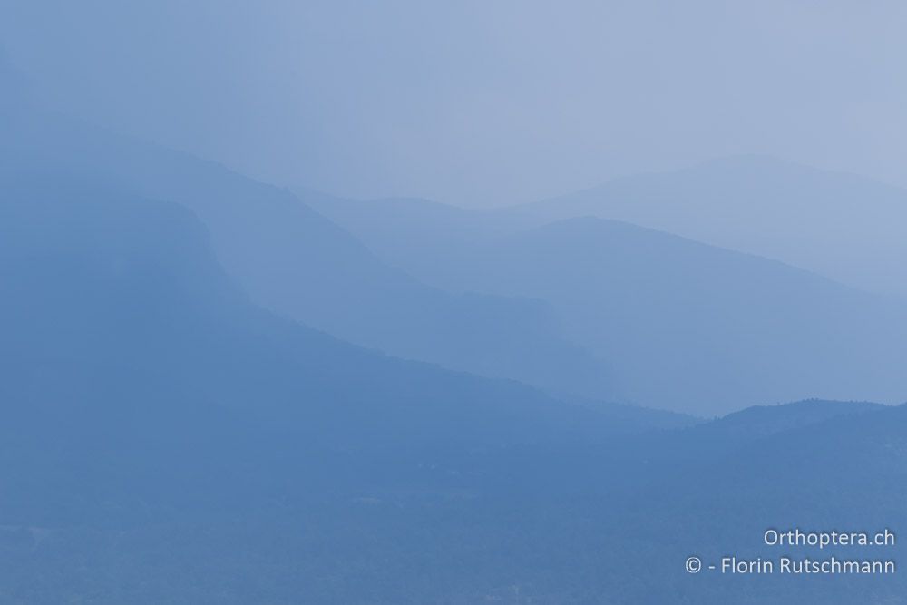 Landschaft im Regen - HR, Istrien, Brest, 25.07.2015