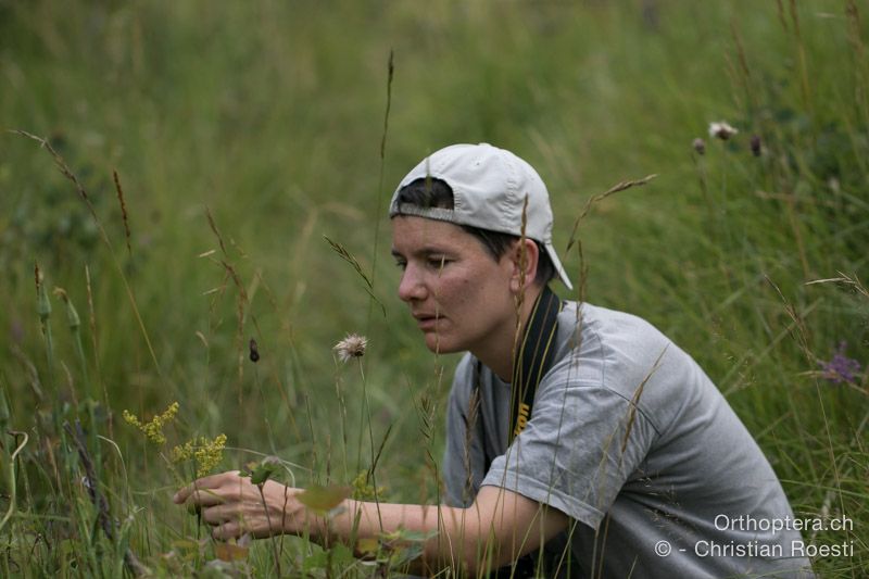 Anna beim Fotografieren - HR, Istrien, Račja Vas, Dol, 24.07.2015