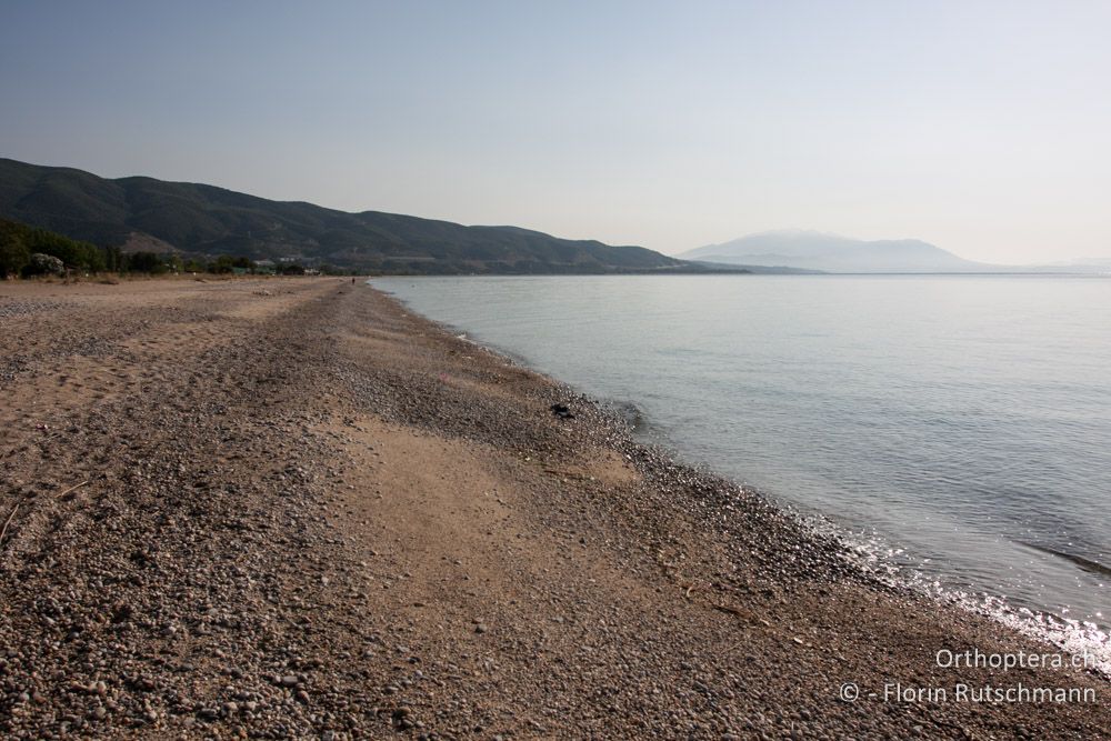 Strand bei Asprovalta nach einem nächtlichen Sturm, 11.07.2012