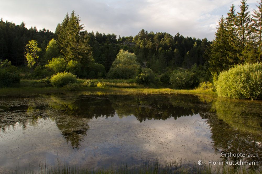 Bergsee im Abendlicht - HR, Istrien, Račja Vas, 01.08.2014