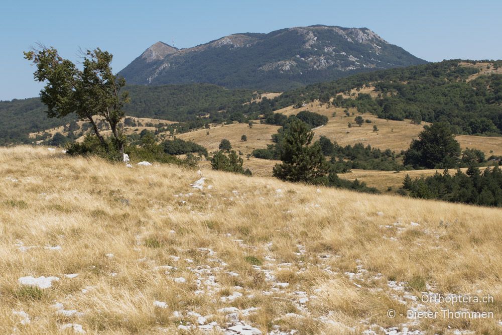 Landschaft mit Učka-Gebirge - HR, Istrien, Mala Učka, 21.07.2015