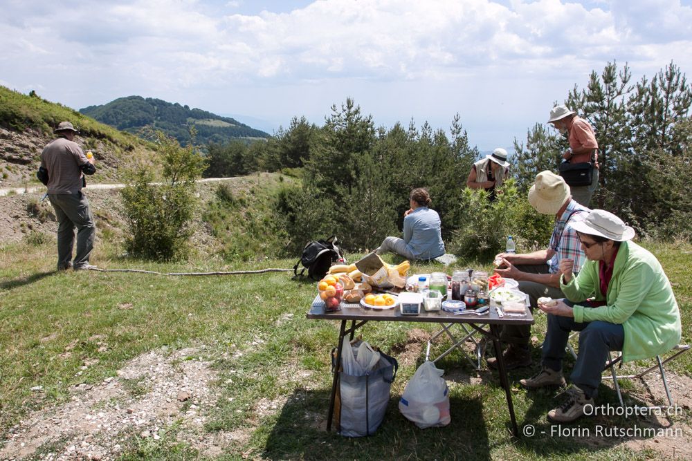 Feldbuffet for take a way! Das ist ideal, so kann man während dem Essen noch da und dort ein Büschchen checken - GR, Ostmakedonien, Mt. Pangeon, 06.07.2013