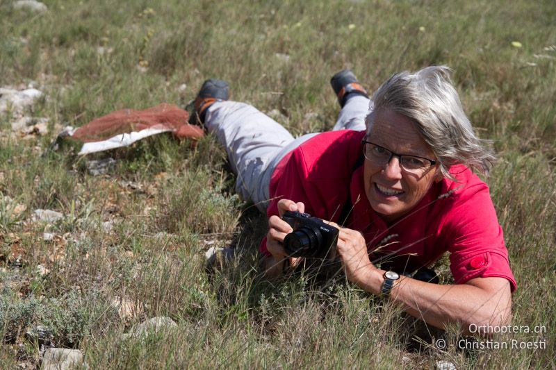 Corina, wie sie leibt und lebt - FR, Plateau d'Aumelas, 11.07.2104