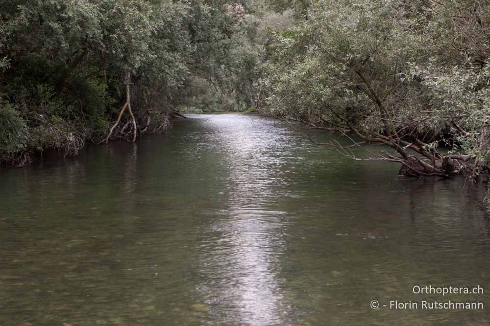 Abkühlung - GR, Zentralmakedonien, Alistrati, 07.07.2014