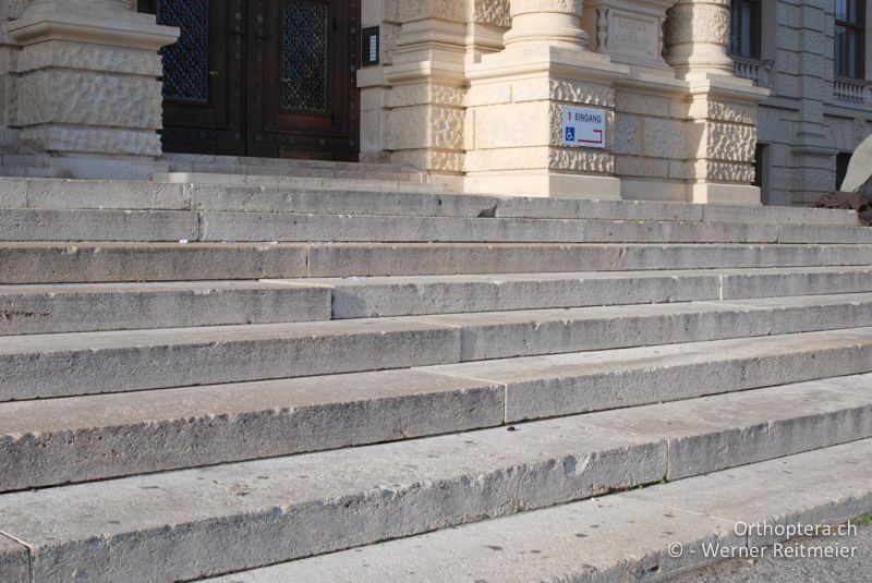 Treppe beim Naturhistorischen Museum in Wien - AT, Wien, Wien, 02.11.2018