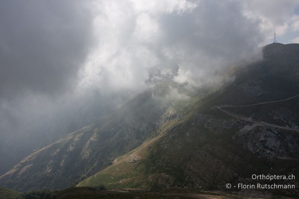 Lichtstimmung im Pangeon-Gebirge, 25.07.2012