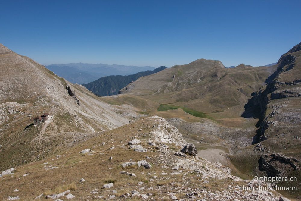 Landschaft um die Berghütte - Mt. Timfi, 16.07.2012