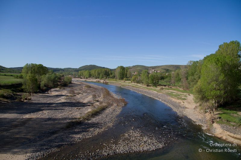 Über der Krumovitsa bei Dolna Kula. Im Flussbett brütet der Flussregenpfeifer und in den hohen Bäumen der Pirol. 24.04.2012