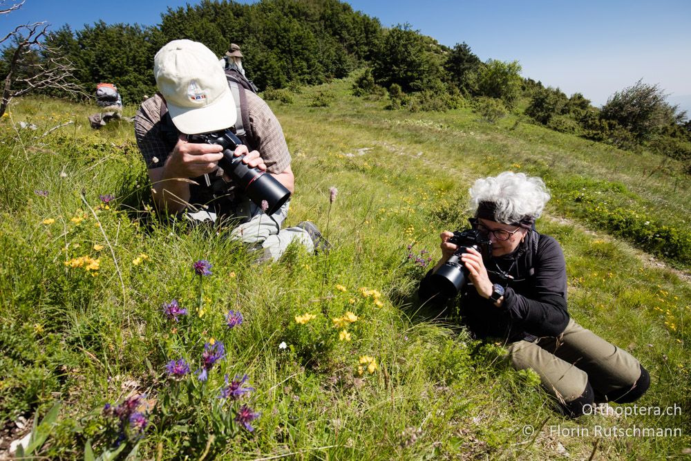 Fotosession unterhalb des Vojak - HR, Istrien, Učka-Gebirge, 22.06.2016