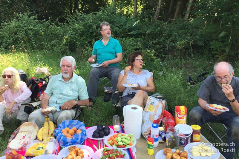 Gute Miene zum bösen Gestank - BG, Blagoewgrad, Ribnik an der Struma, 13.07.2018