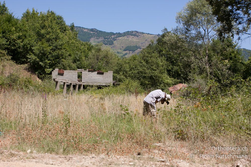 Dominik in Action - Bei Florina, 18.07.2011